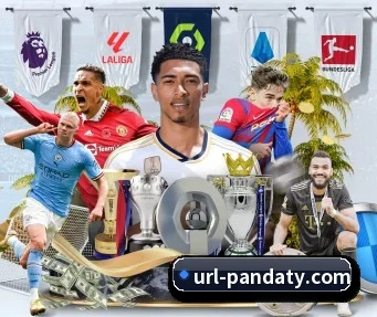熊猫体育 APP - PANDASPORTS